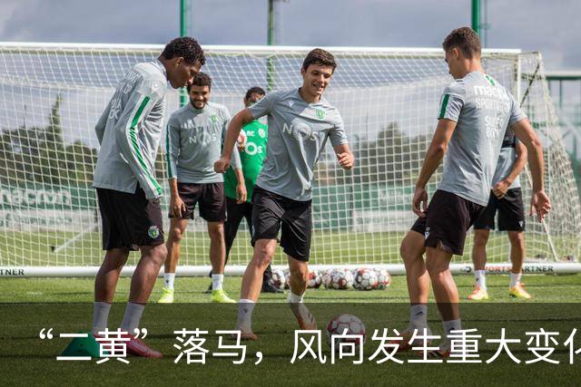 “二黄”落马，风向发生重大变化