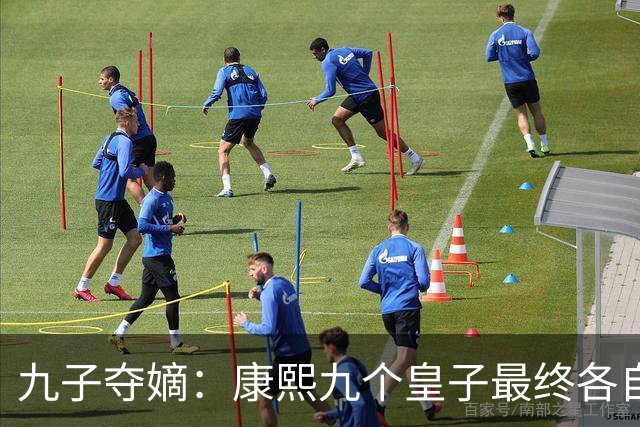 九子夺嫡：康熙九个皇子最终各自下场