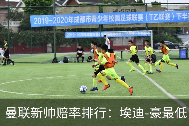 曼联新帅赔率排行：埃迪-豪最低，纳格尔斯曼、孔蒂其次