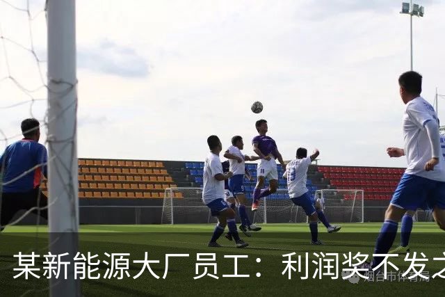 某新能源大厂员工：利润奖不发之后，确诊抑郁了