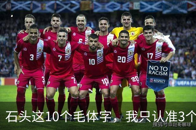 石头这10个毛体字，我只认准3个，余下的想请高人亮一手。再说学书：从“认得出”到“写得出”，草书最该下哪种笨功夫？