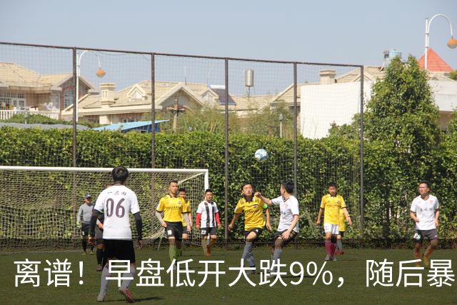 离谱！早盘低开大跌9%，随后暴力拉升大涨5.6%，割肉的已哭晕