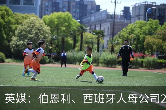 英媒：伯恩利、西班牙人母公司22个月未交账目，面临强制注销