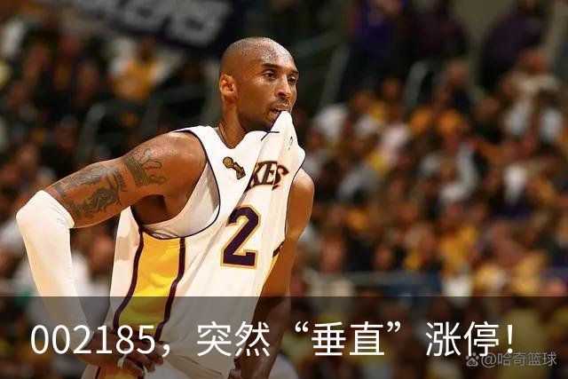 002185，突然“垂直”涨停！