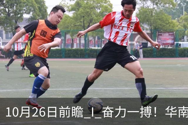 10月26日前瞻 I 奋力一搏！华南虎客战大鲨鱼